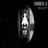 Sedona - Hannibal K&Dylan Kaminsky