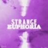 STRANGE EUPHORIA (Intro) (feat. Javs) - Ben Willett&Javs