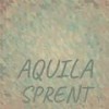 Cada Palmetto - Augustinus Vart
