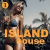 Groovando (D Beats Mix) - Mik More