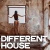 Everybody (Mann-Mix) - Drake Mann