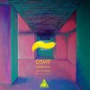 Closed Door - Osvit