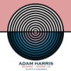 Forgot Her Name (Lepmas Remix) - Adam Harris
