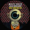 Wish I Didnt Miss You (Short Edit) - Lucas Borchardt&White Sheep