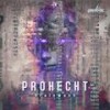 Brainwash - Prohecht