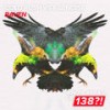 Raven (Extended Mix) - Cold Rush&F.G. Noise