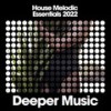 Reese Effect - Ben Nickson