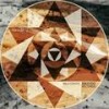 Wild Coyote (Original Mix) - Tritemyo
