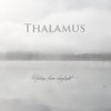 The Painter - Thalamus