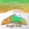 Life From Lifelessness (Radio Edit) - Brian Flinn