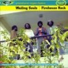Run Dem Down - The Wailing Souls