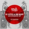 Shine (Original Mix) - Dj Vitto&mr bert