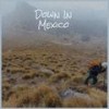 Down In Mexico - The Coasters