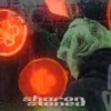 Sharon Stoned - Gabriel Hermes&WAAR&BODHI&Imitation Zone
