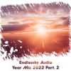 Amber Rain (Elgfrothi Remix) - Andy Newtz