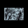 Gris - Plastic