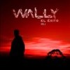 Aladdin - Wally