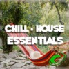The Creature (Extended Mix) - Kebi