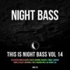 High Like This - Badger&AK RENNY