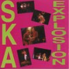 Stir It Up (Live) - The Skadows