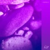 Cosmos (Findike Remix) - Ultrasound&Findike