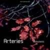 Arteries - DeeBizness