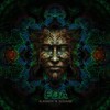 After The Universe (Remaster) - Alienapia&ShivaOm