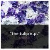 Pistil (Original Mix) - Acumen