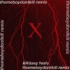 X remix - thomeboydontkill&BRGang&Yes&请你尊重猫咪