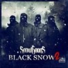 Party Crashers (Explicit) - Snowgoons&Reef The Lost Cauze