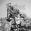 Income Outcomes (Explicit) - Nasi TauTona&Beatmochini