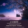 Variazione 24 - Canone all'ottava - Giuseppe Caputo&Luciano Pompilio&Johann Sebastian Bach