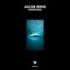 Hydrocele (Radio Edit) - Jacob Ireng