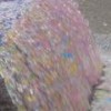 Emotional Support Peacock (Explicit) - Space Camp