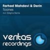 Toones (Estigma Remix) - Farhad Mahdavi&Derin