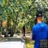 Block Party (Explicit) - DJ Greg&Mike Loc&MCF Smooth&OG Tony Bone