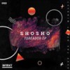 Mystyc (Original Mix) - Shosho