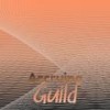 Accruing Guild - Dony Tini