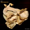 Obliterator (Original Mix) - LK.