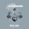 Surreal (DJ Version) - Bryn Liedl