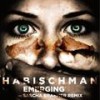Defences - Habischman&Elida