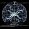 Perpetual (Dark Soul Project Presents Dancing With Myself Remix) - Amezquita