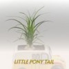 My Steady Girl - Chuck Darty