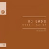 Here I Am (Original Mix) - DJ Endo