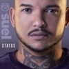Questionário - Suel