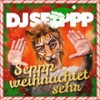 Hallo lieber Weihnachtsmann - DJ Seppp&Micaela Schäfer