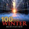 Piano Concerto No. 23 in A Major, K. 488 - II. Adagio - Daniel Gerard&Vienna Mozart Ensemble