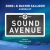 Valhalla - Bachir Salloum&Zone+