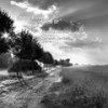 Musical Tension (Original Mix) - Vittorio Rioss