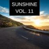The Shiks - Dmux